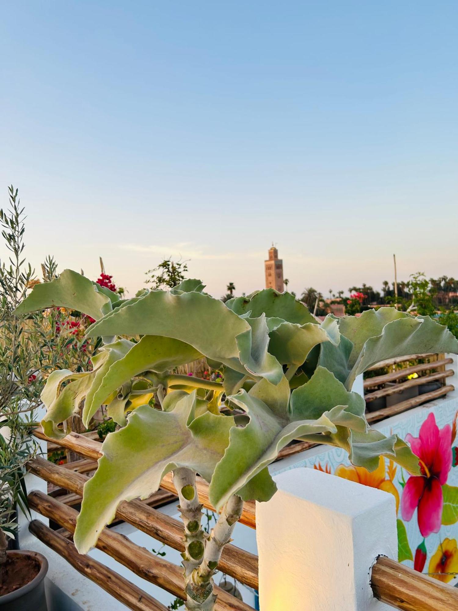 Riad Tsar Mimoun Marrakesh Exteriör bild